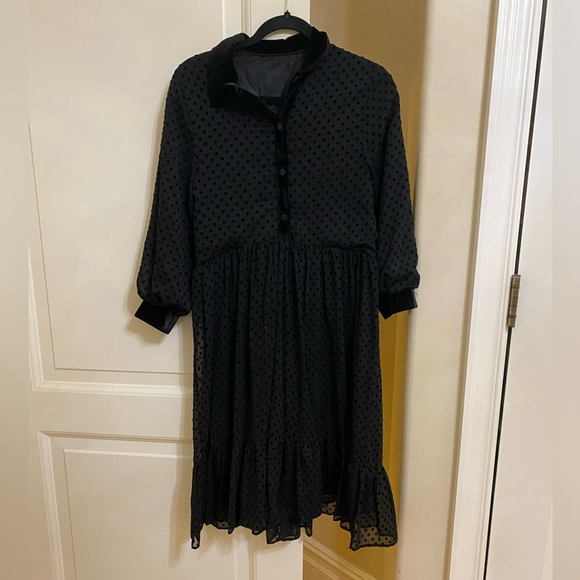 ZARA Swiss Dot Sheer dress - Picture 2 of 4